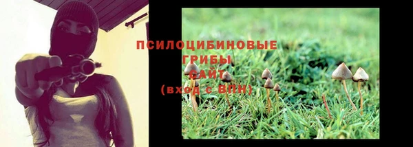 ГАЛЛЮЦИНОГЕННЫЕ ГРИБЫ Лагань