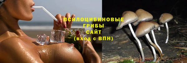 молекула духа Ладушкин