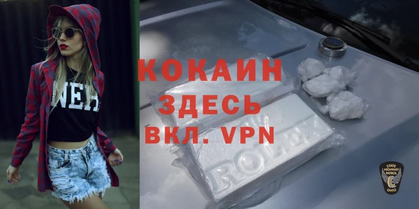 индика Лиски