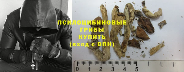 молекула духа Ладушкин