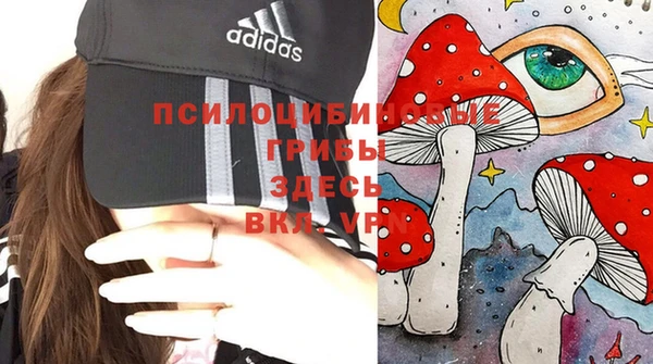 гидропоника Лихославль