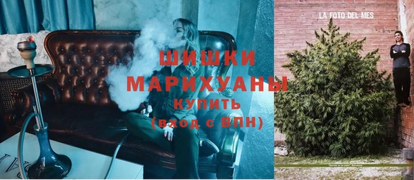 ГАЛЛЮЦИНОГЕННЫЕ ГРИБЫ Лагань