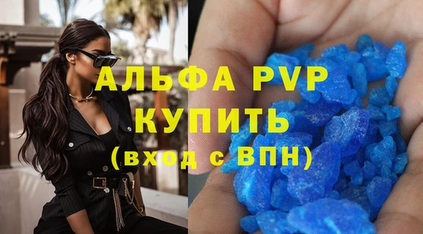 молекула духа Ладушкин
