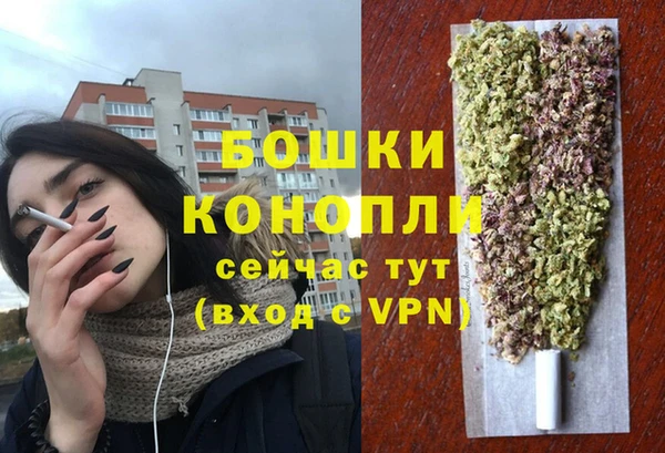 ГАЛЛЮЦИНОГЕННЫЕ ГРИБЫ Лагань