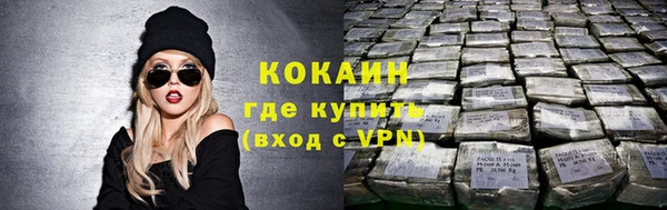 индика Лиски
