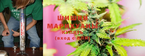 ГАЛЛЮЦИНОГЕННЫЕ ГРИБЫ Лагань