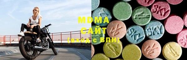 ГАЛЛЮЦИНОГЕННЫЕ ГРИБЫ Лагань